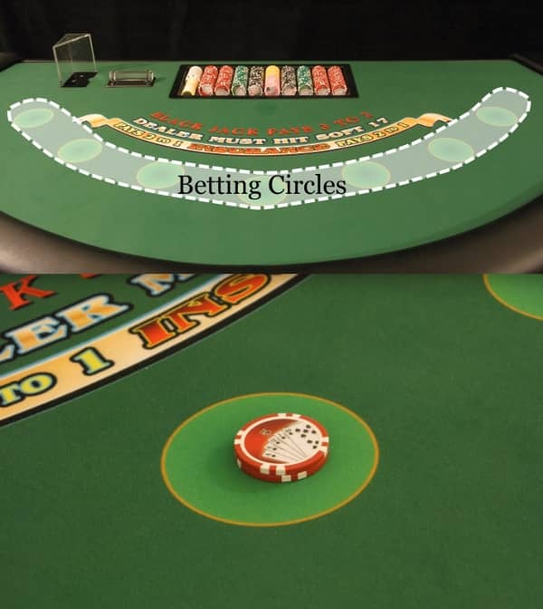 The betting circle is highlighted so you know where to bet The betting circle is highlighted so you know where to bet