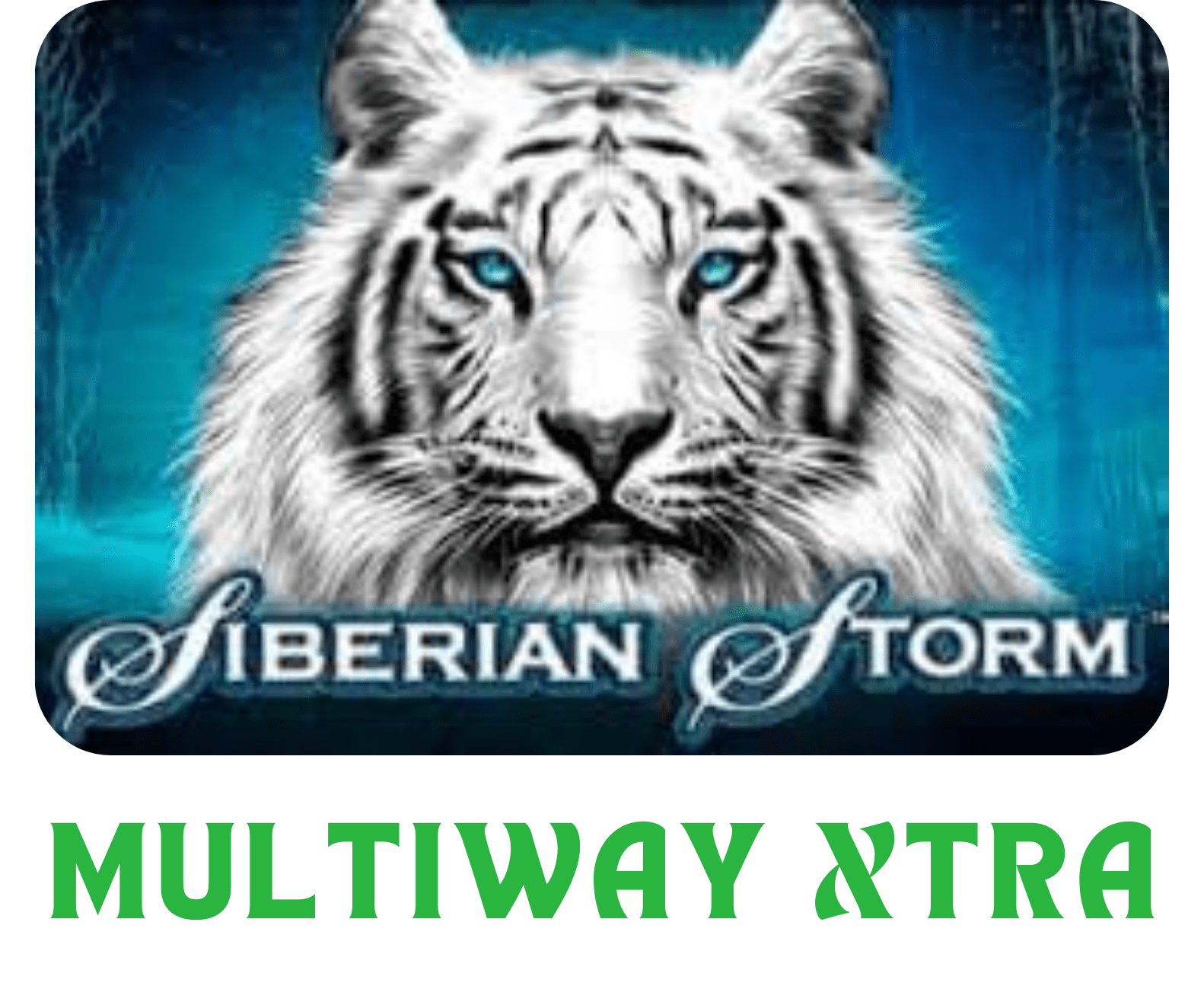 1. IGT: Multiway Extra, image 1