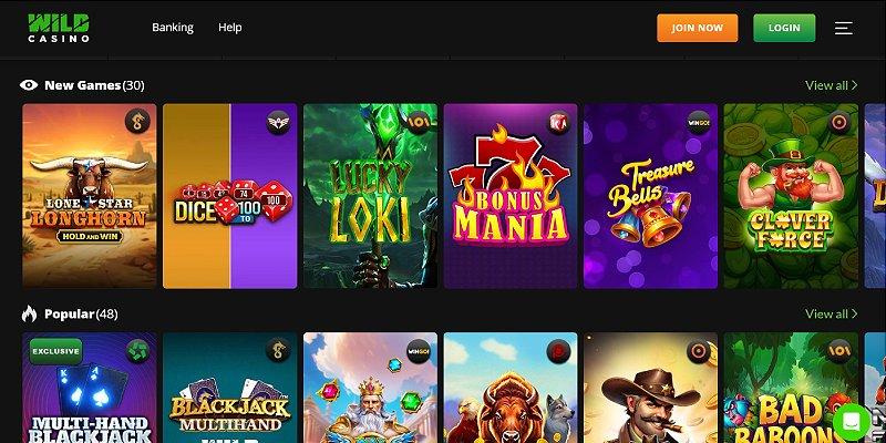 Screenshot of Wild Casino